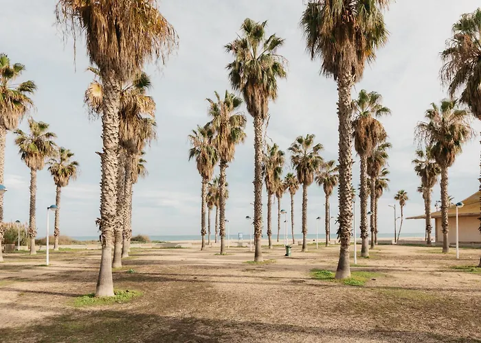 Resort Beach Valencia