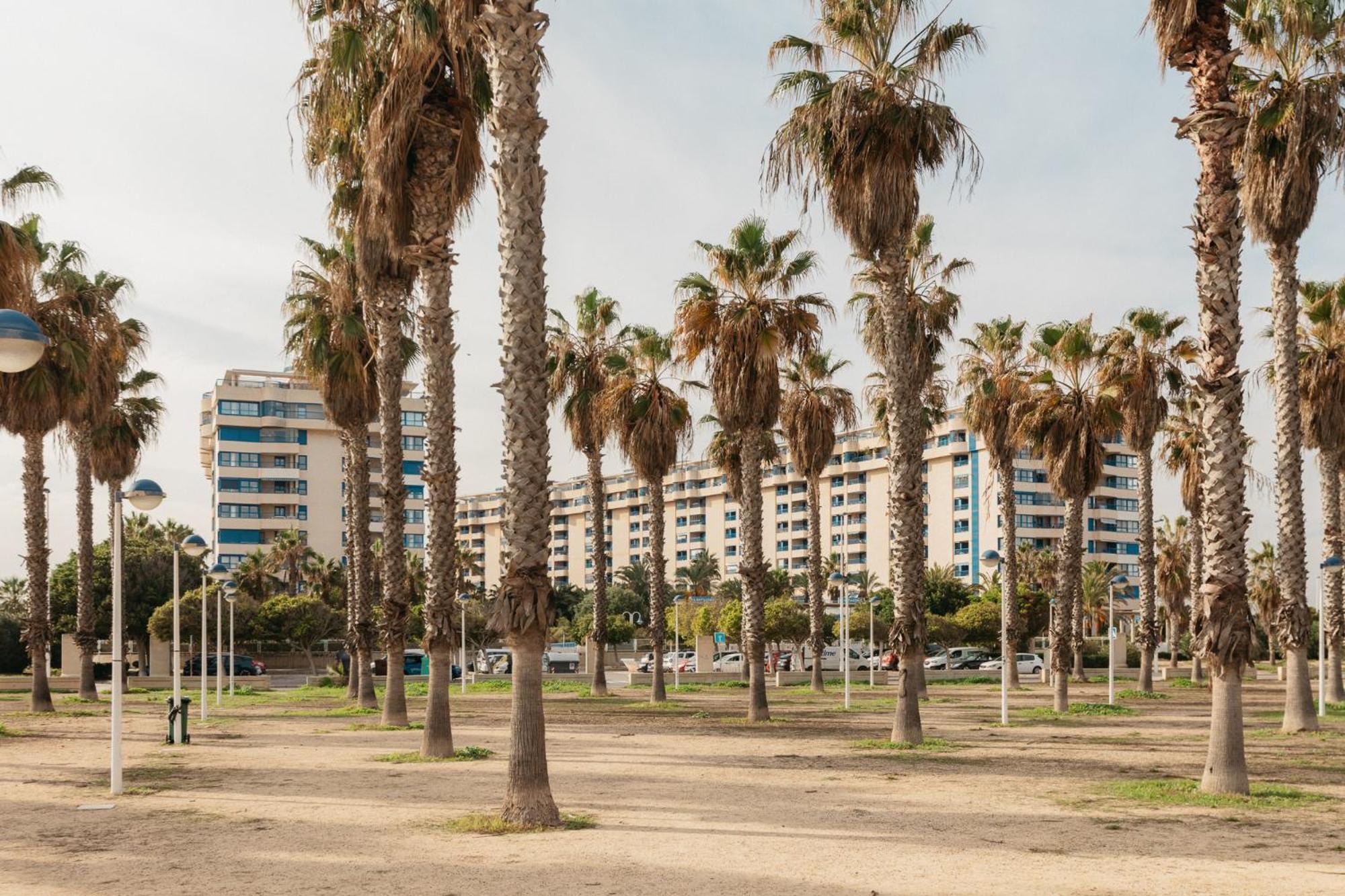Resort Beach Valencia Valence